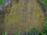image of grave number 842410